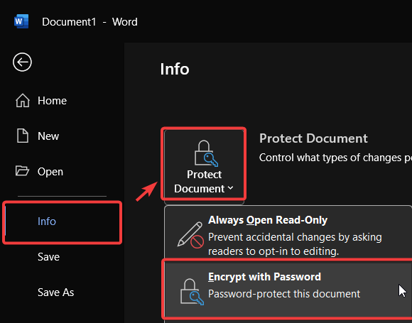 how to protect word docs with passwords