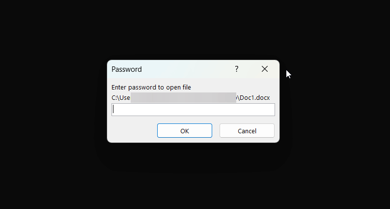 how to protect word docs with passwords