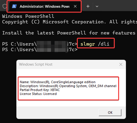 Screenshot on how to check Windows license type and status