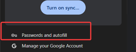 google password manager